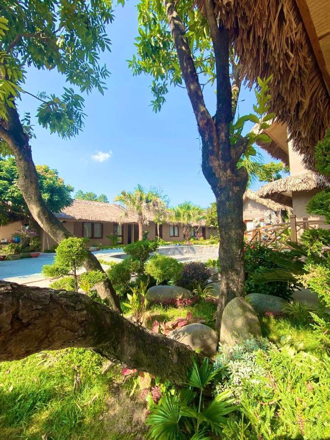 Lemon Tree Homestay Tam Coc ニンビン エクステリア 写真