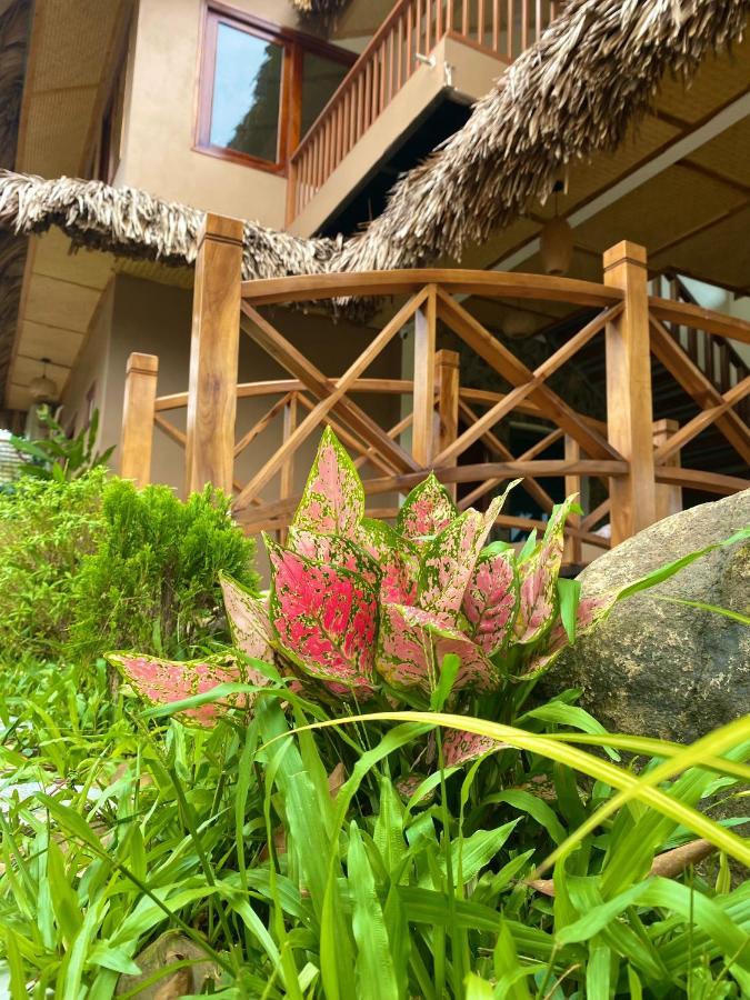 Lemon Tree Homestay Tam Coc ニンビン エクステリア 写真