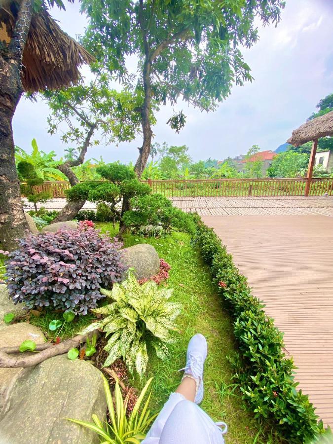 Lemon Tree Homestay Tam Coc ニンビン エクステリア 写真