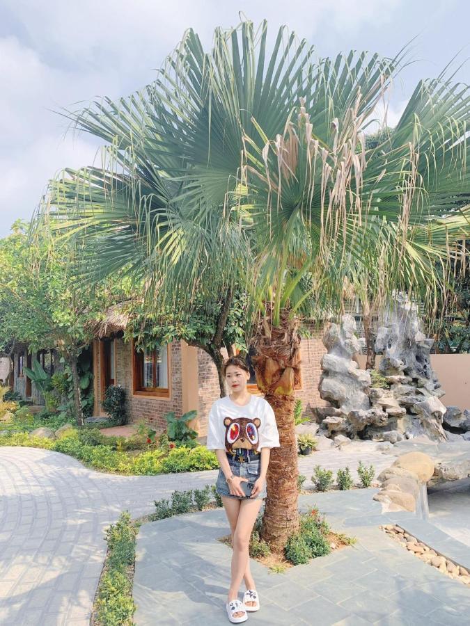 Lemon Tree Homestay Tam Coc ニンビン エクステリア 写真