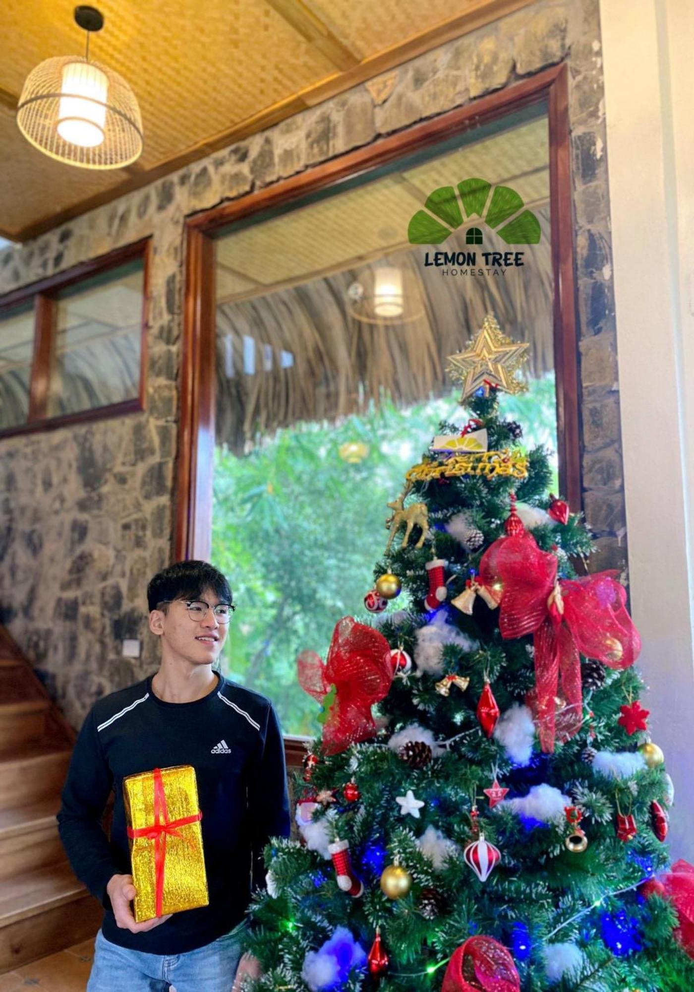 Lemon Tree Homestay Tam Coc ニンビン エクステリア 写真