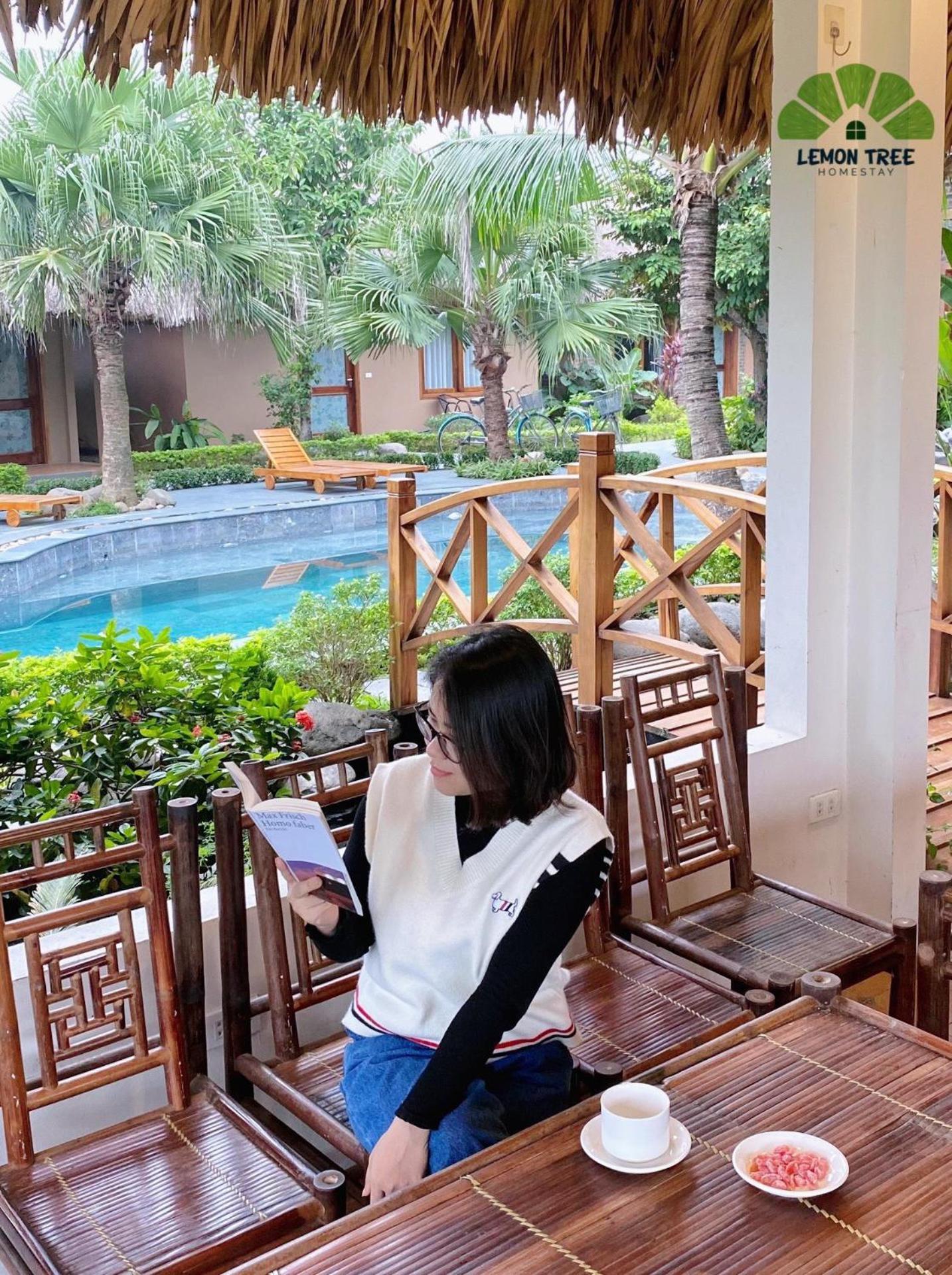 Lemon Tree Homestay Tam Coc ニンビン エクステリア 写真