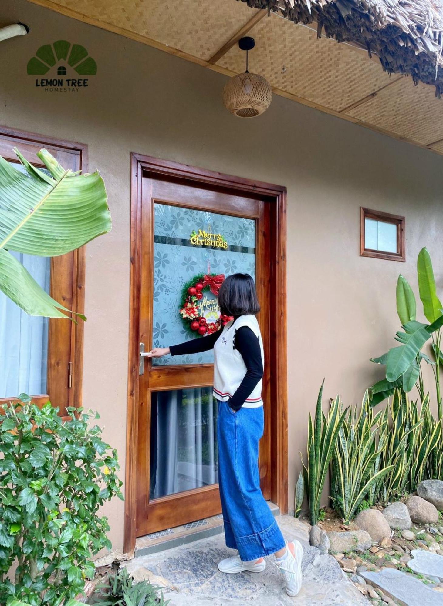 Lemon Tree Homestay Tam Coc ニンビン エクステリア 写真