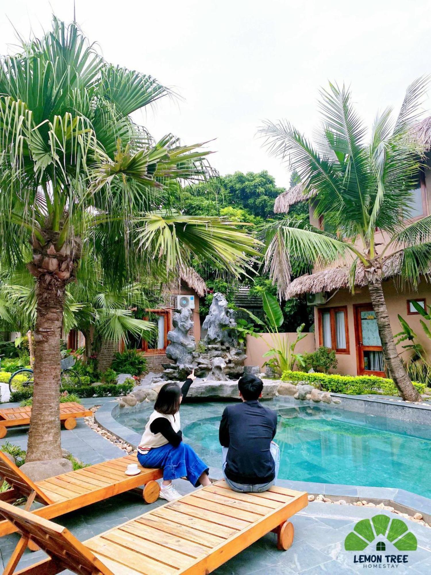 Lemon Tree Homestay Tam Coc ニンビン エクステリア 写真
