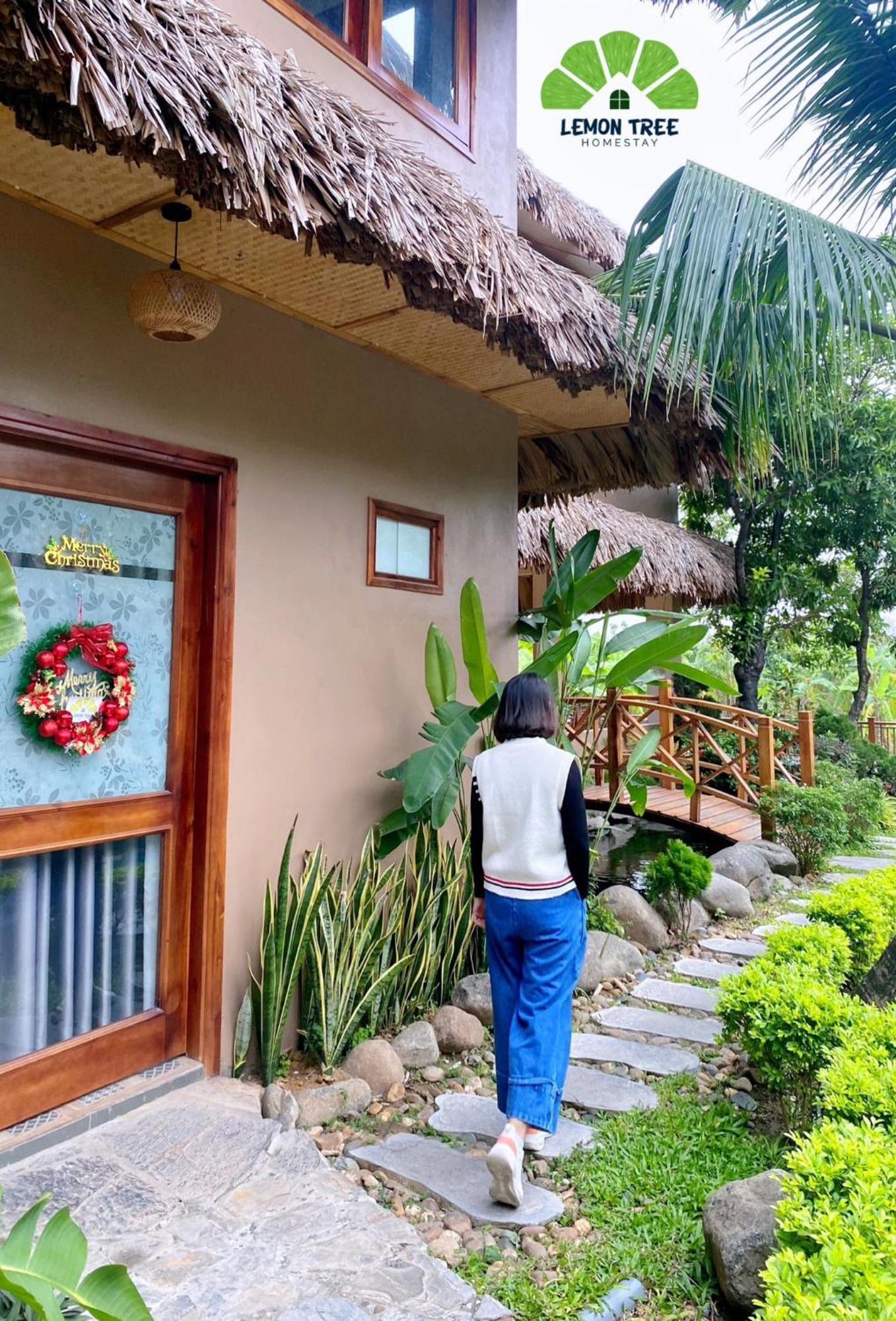 Lemon Tree Homestay Tam Coc ニンビン エクステリア 写真