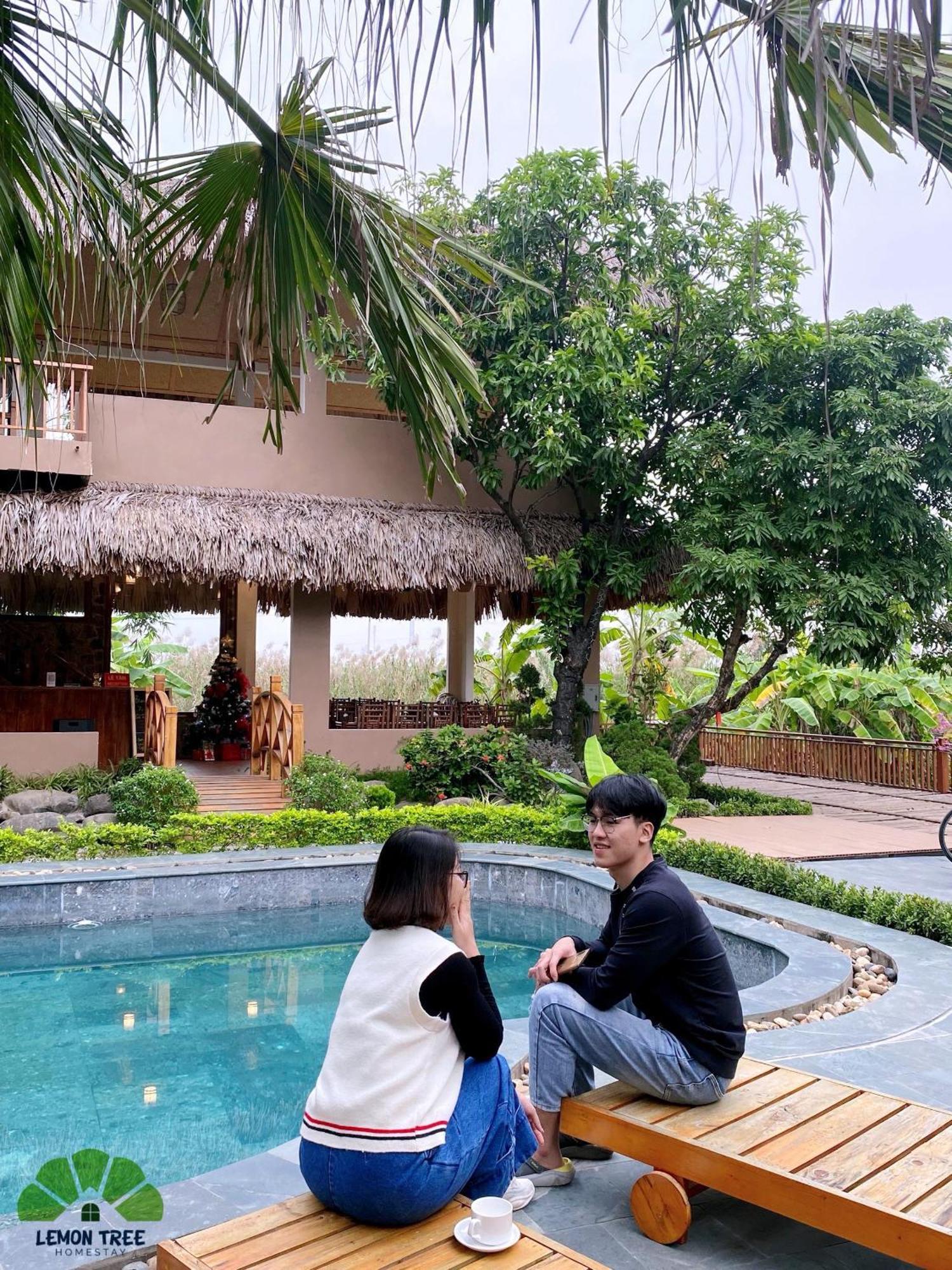Lemon Tree Homestay Tam Coc ニンビン エクステリア 写真