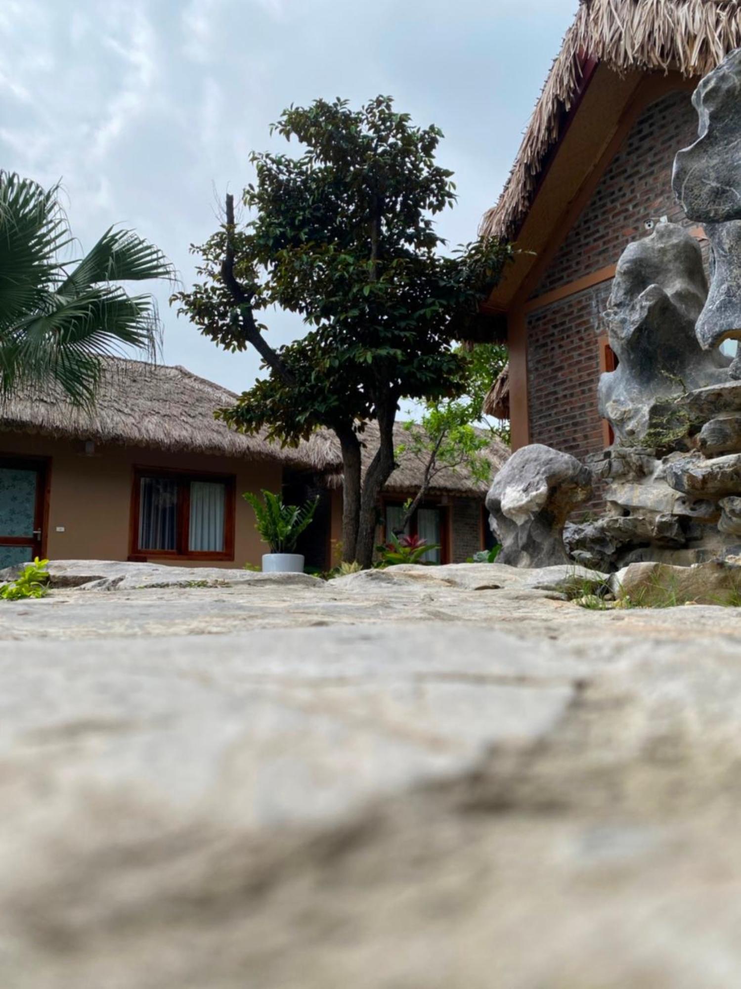 Lemon Tree Homestay Tam Coc ニンビン エクステリア 写真