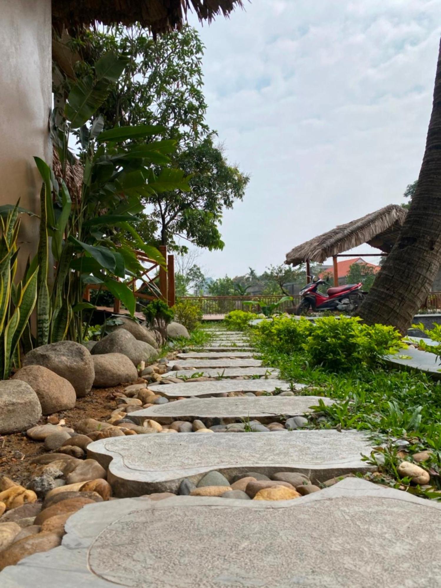 Lemon Tree Homestay Tam Coc ニンビン エクステリア 写真
